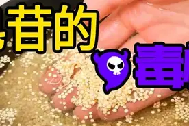 网红产品藜麦的毒性因子，像小刀一样，一点点伤害你图片