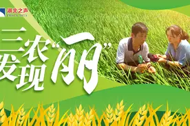 从“摇摇晃晃”到“稳稳当当”退捕渔民上岸闯新路 | 湖北长江禁渔纪实图片