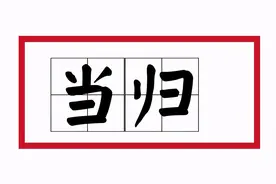 补血活血滋颜色，佳节佳人自“当归”！图片