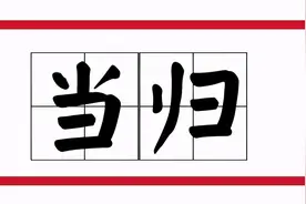 补血活血滋颜色，佳节佳人自“当归”！图片