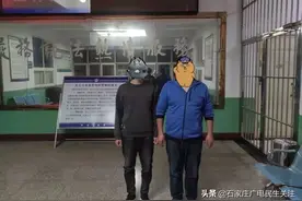 转账流水达118万元！一名为跑分平台非法资金结算嫌犯落网图片