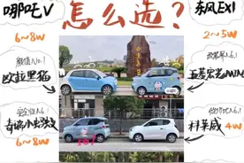 8款新能源电车怎么选 新手该看的新手代步小车车图片