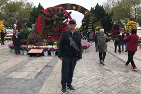河南开封龙亭的菊展值得一看！图片