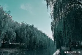 《为老板站岗》功勋拉拉，只是做了自己不擅长的事情，尽职而已图片