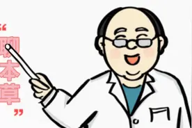 【马博士聊本草】女科要药（四）：三七的故事——“能治一切血症的金不换”图片
