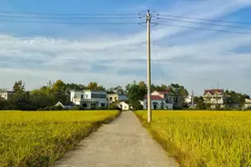 回家看看吧图片