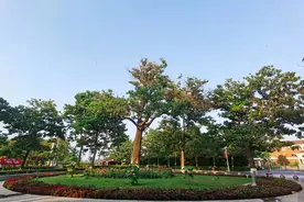 走进兰考，在九曲黄河最后一弯聆听焦裕禄精神图片