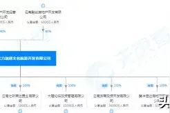 云南本土房企的破局之路 不成功便成仁图片