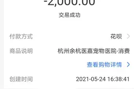 家里有宠物的，这篇文章建议看看图片