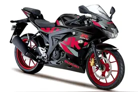 Suzuki 向日本市场推出多个 2020 新图案车型图片