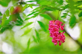 写给奔波在外的60后：人老了，带好这几样东西，回村养老吧图片