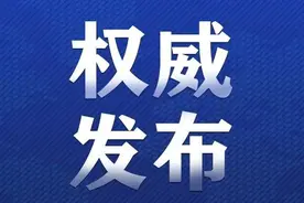 海口“林十二”及其涉黑组织111人被移送检察机关图片