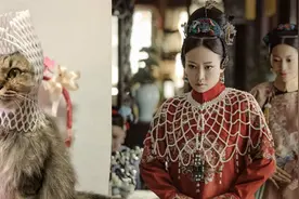 猫咪也过上万圣节，COS延禧攻略、黑魔女造型一个比一个搞笑图片