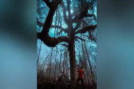 甘孜州海螺沟景区图片