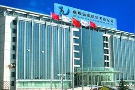 全球最大棉纺巨头魏桥纺织上半年仅赚1.55亿，麾下员工降至4.7万图片