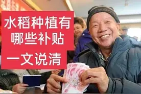 农民朋友请注意，水稻种植有很多种补贴的？您别忘了去领图片