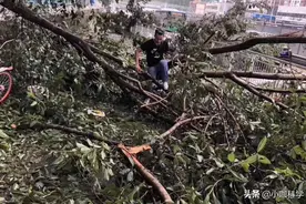 暴雨过后“蛇进家”！湖南女子家中发现大蛇：一个受精，一个受惊图片
