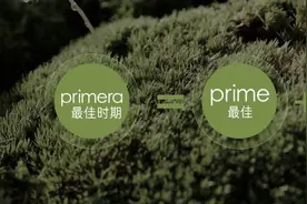 PPT高手必学 — 4个图片处理神技！图片