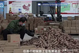 农业丨山东女记者辞职卖地瓜年售将过亿图片