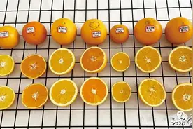 9种橙子测评：赣南脐橙、秭归脐橙等，谁才是橙子界的最强王者图片