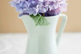法律的使命不是追求公平正义图片