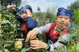 春光明媚踏青游图片