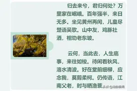 诗不可说丨当苏东坡想要去做一个安安静静的渔父图片