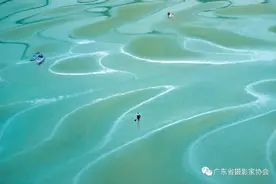 “江门·发现海洋之美”| 入展作品选登（一）图片