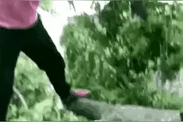 让人哭笑不得的十张动图图片