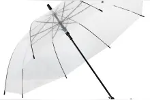 为什么日本人爱打透明雨伞？图片