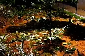 一声巨响！海口一小区男子坠楼身亡视频封面
