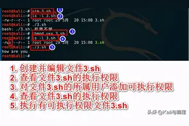 小白7天掌握Shell编程：脚本的创建和执行图片