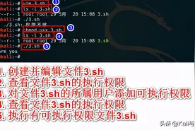 小白7天掌握Shell编程：脚本的创建和执行图片