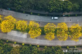 “没想到我十几年的失眠症，就这样好了”：这个方法也适用你图片