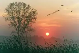 十句诗词话夕阳，只是无人与我立黄昏图片