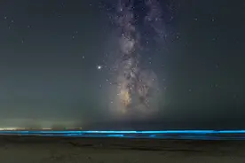 罕见的海洋“蓝眼泪”现象，与银河交相辉映图片