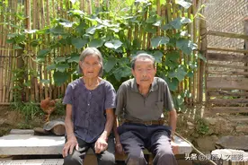 87岁大爷当10年兵没出河南，回到村委又干20年，家里农活分工明确图片