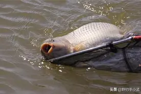 子线能通用？错!详解子线长短不同，在实战用法和讲究也各不相同图片