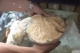 男子路边捡回一个“怪物”，一拿回家就体积疯长，大卸八块也没用图片