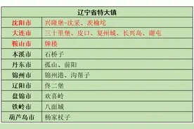 中国大镇04：辽宁（上），地图上看沈阳、大连、鞍山的特大镇图片