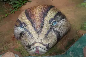 江苏南通洲际绿博园3D立体石头画、树洞画精彩纷呈 栩栩如生图片