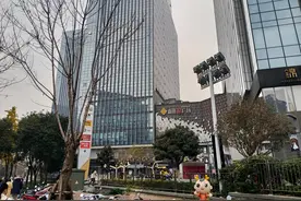 粤式牛杂汤鲜味靓图片