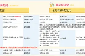 关林地块没出地王，伊滨中轴没来万达，最近的土拍为何啪啪打脸？图片