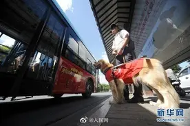 人大代表：建议制定伴侣动物保护管理法图片