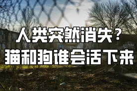 有一天人类突然消失，狗会回归到狼吗？问题背后有这么多知识图片