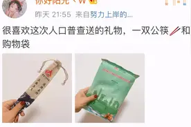 人口普查是怎么做的？为什么要做？丨世界统计日图片