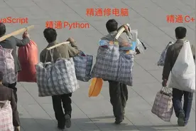 官方坐实了：程序员都是农民工图片
