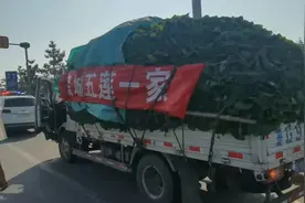 潍坊爱心人士送10吨蔬菜支援五莲，“吃完了，我们再送”图片
