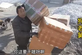 流浪狗救助——别让公益做成了生意图片