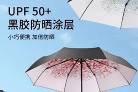 太阳伞可以当雨伞用吗？图片